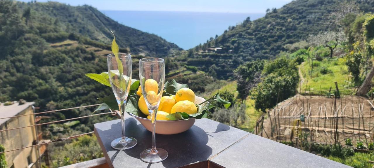 ☆ Terrace & Relax ☆ Casa Franceschin_ Homy 5 Terre Villa Рио Маджоре Екстериор снимка